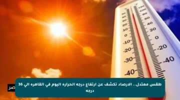 طقس معتدل.. الأرصاد تكشف عن ارتفاع درجة الحرارة اليوم في القاهرة إلى 36 درجة